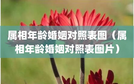 属相年龄婚姻对照表图（属相年龄婚姻对照表图片）