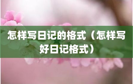 怎样写日记的格式（怎样写好日记格式）