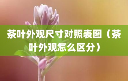 茶叶外观尺寸对照表图（茶叶外观怎么区分）