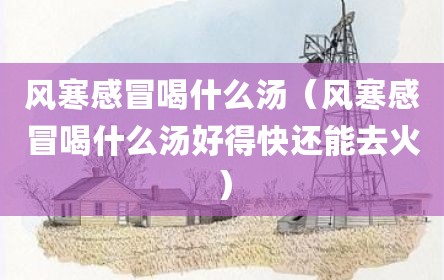 风寒感冒喝什么汤（风寒感冒喝什么汤好得快还能去火）
