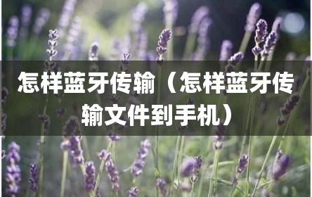 怎样蓝牙传输（怎样蓝牙传输文件到手机）