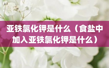 亚铁氯化钾是什么（食盐中加入亚铁氯化钾是什么）