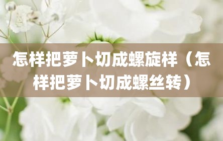 怎样把萝卜切成螺旋样（怎样把萝卜切成螺丝转）