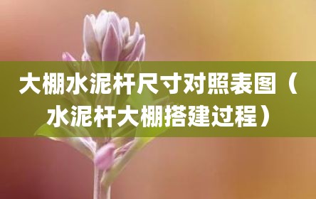 大棚水泥杆尺寸对照表图（水泥杆大棚搭建过程）