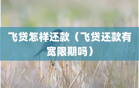 飞贷怎样还款（飞贷还款有宽限期吗）