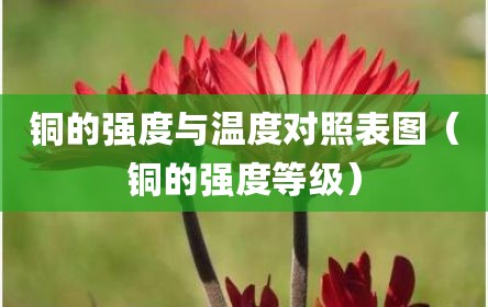 铜的强度与温度对照表图（铜的强度等级）