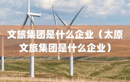 文旅集团是什么企业（太原文旅集团是什么企业）
