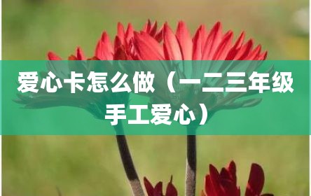 爱心卡怎么做（一二三年级手工爱心）