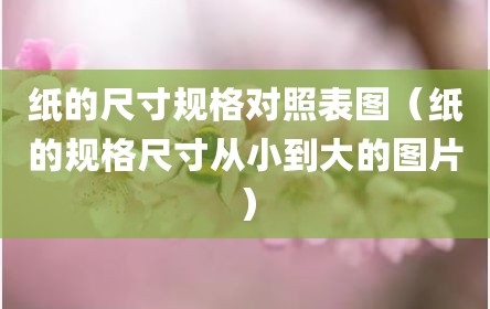 纸的尺寸规格对照表图（纸的规格尺寸从小到大的图片）