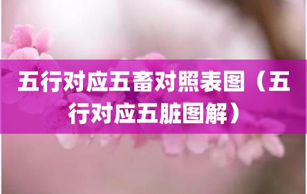五行对应五畜对照表图（五行对应五脏图解）