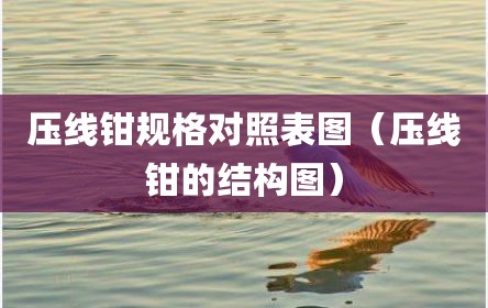 压线钳规格对照表图（压线钳的结构图）