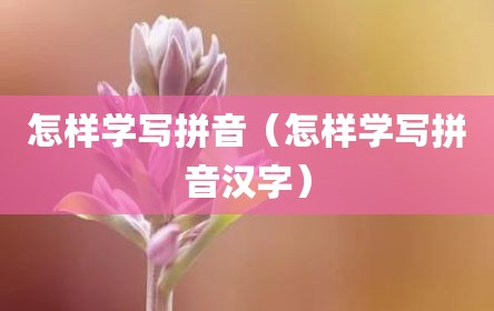 怎样学写拼音（怎样学写拼音汉字）