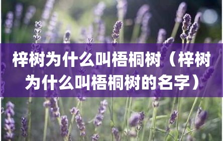 梓树为什么叫梧桐树（梓树为什么叫梧桐树的名字）