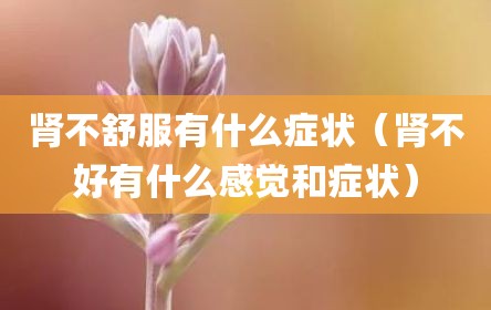 肾不舒服有什么症状（肾不好有什么感觉和症状）