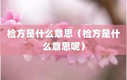 检方是什么意思（检方是什么意思呢）