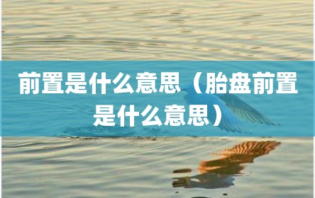 前置是什么意思（胎盘前置是什么意思）