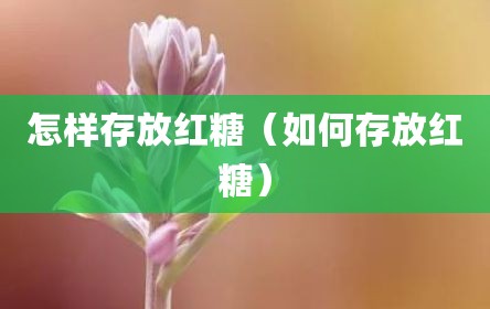 怎样存放红糖（如何存放红糖）