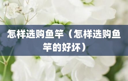 怎样选购鱼竿（怎样选购鱼竿的好坏）