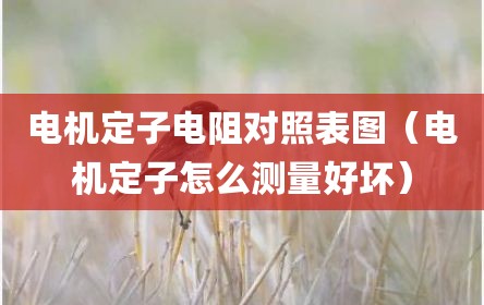 电机定子电阻对照表图（电机定子怎么测量好坏）