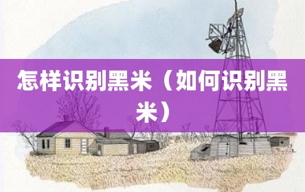 怎样识别黑米（如何识别黑米）