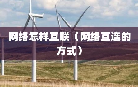 网络怎样互联（网络互连的方式）