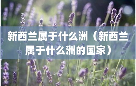 新西兰属于什么洲（新西兰属于什么洲的国家）