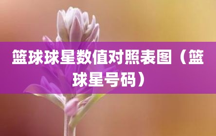 篮球球星数值对照表图（篮球星号码）