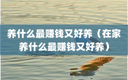 养什么最赚钱又好养（在家养什么最赚钱又好养）