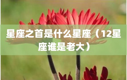 星座之首是什么星座（12星座谁是老大）