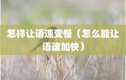 怎样让语速变慢（怎么能让语速加快）