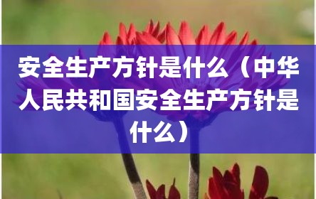 安全生产方针是什么（中华人民共和国安全生产方针是什么）
