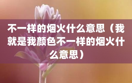 不一样的烟火什么意思（我就是我颜色不一样的烟火什么意思）