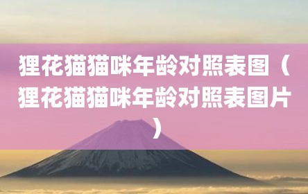 狸花猫猫咪年龄对照表图（狸花猫猫咪年龄对照表图片）