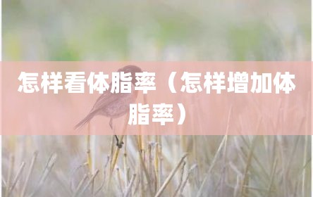 怎样看体脂率（怎样增加体脂率）