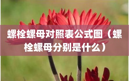 螺栓螺母对照表公式图（螺栓螺母分别是什么）