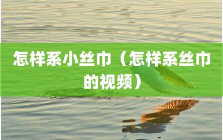 怎样系小丝巾（怎样系丝巾的视频）