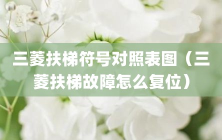 三菱扶梯符号对照表图（三菱扶梯故障怎么复位）