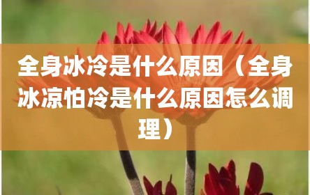 全身冰冷是什么原因（全身冰凉怕冷是什么原因怎么调理）