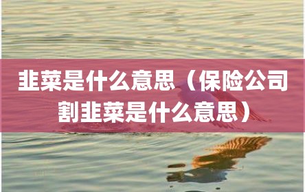 韭菜是什么意思（保险公司割韭菜是什么意思）