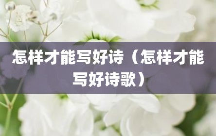怎样才能写好诗（怎样才能写好诗歌）