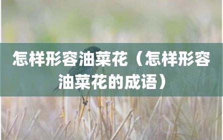怎样形容油菜花（怎样形容油菜花的成语）