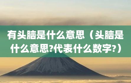有头脑是什么意思（头脑是什么意思?代表什么数字?）