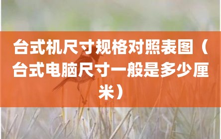 台式机尺寸规格对照表图（台式电脑尺寸一般是多少厘米）