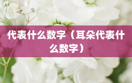 代表什么数字（耳朵代表什么数字）