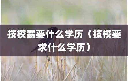 技校需要什么学历（技校要求什么学历）