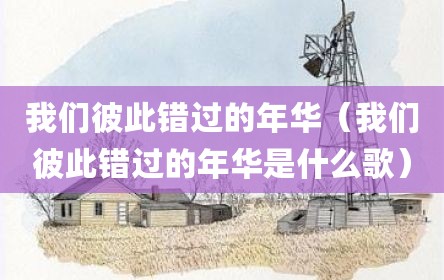 我们彼此错过的年华（我们彼此错过的年华是什么歌）