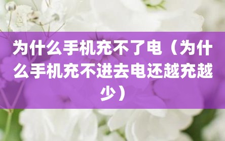 为什么手机充不了电（为什么手机充不进去电还越充越少）