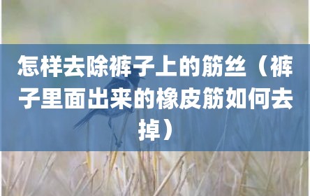 怎样去除裤子上的筋丝（裤子里面出来的橡皮筋如何去掉）