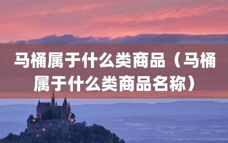 马桶属于什么类商品（马桶属于什么类商品名称）