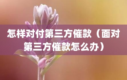 怎样对付第三方催款（面对第三方催款怎么办）
